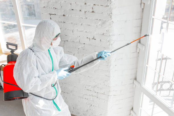 Mold Remediation for Vacation Homes in Williston, ND